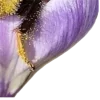 Стикер 39 nature lake emoji