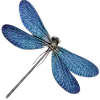 Стикер 22 nature lake emoji