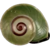 Стикер 57 nature lake emoji