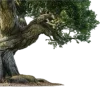 Стикер 33 nature lake emoji
