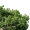 Стикер 25 nature lake emoji