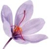 Стикер 3 nature lake emoji