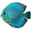 Стикер 45 nature lake emoji