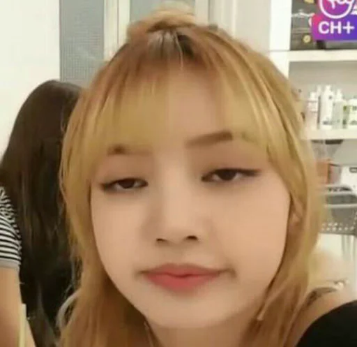 🥴 Стикер «lalisa / Blackpink» для Telegram