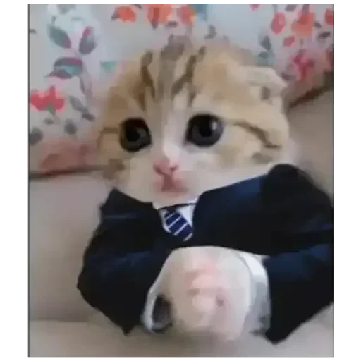😐 Стикер «Dave-kun» для Telegram