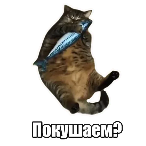 Стикерпак Лампово о стикерах для Telegram — скачать