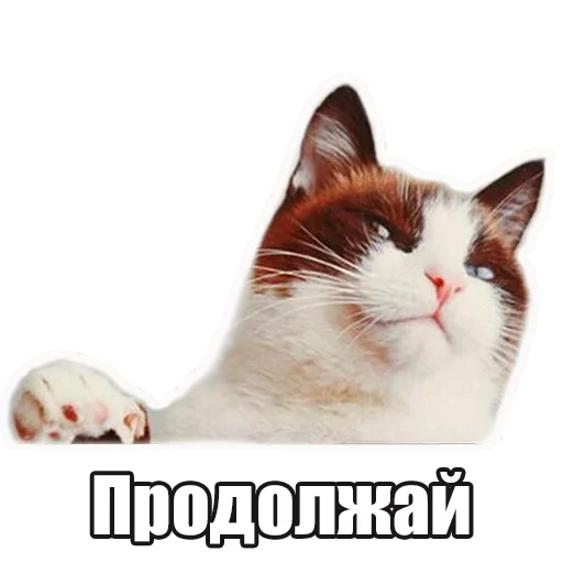 🤓 Стикер «Лампово о стикерах» для Telegram