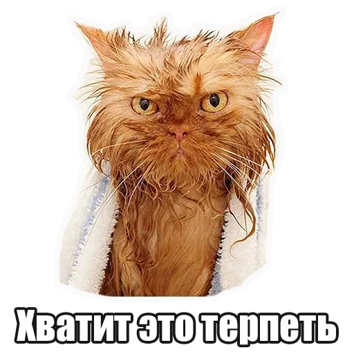 😌 Стикер «Лампово о стикерах» для Telegram