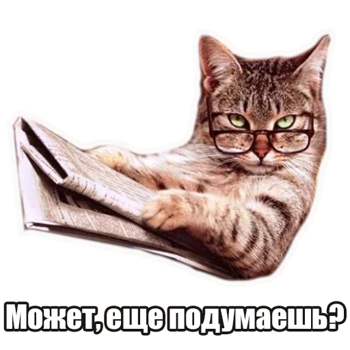 😏 Стикер «Лампово о стикерах» для Telegram