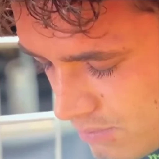 🔥 Стикер «lando norris» для Telegram