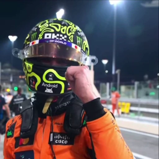 🔥 Стикер «lando norris» для Telegram