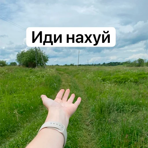 😚 Стикер «Ланские» для Telegram