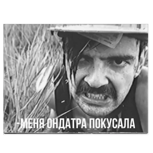 🫥 Стикер «Лапенко» для Telegram