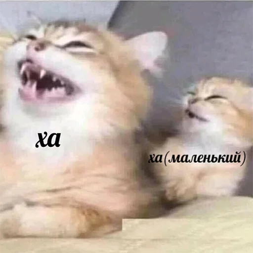 😂 Стикер «зюзюзю» для Telegram
