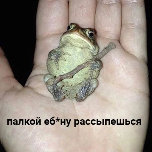👊 Стикер «зюзюзю» для Telegram