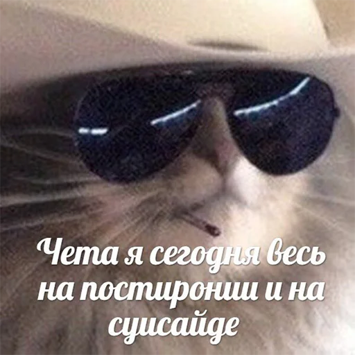 😓 Стикер «зюзюзю» для Telegram