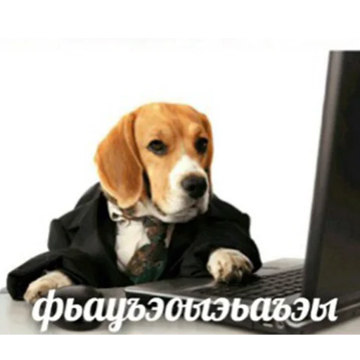 💻 Стикер «зюзюзю» для Telegram