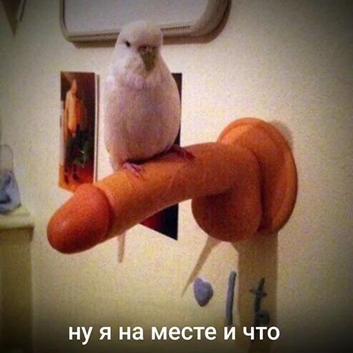 👃 Стикер «зюзюзю» для Telegram
