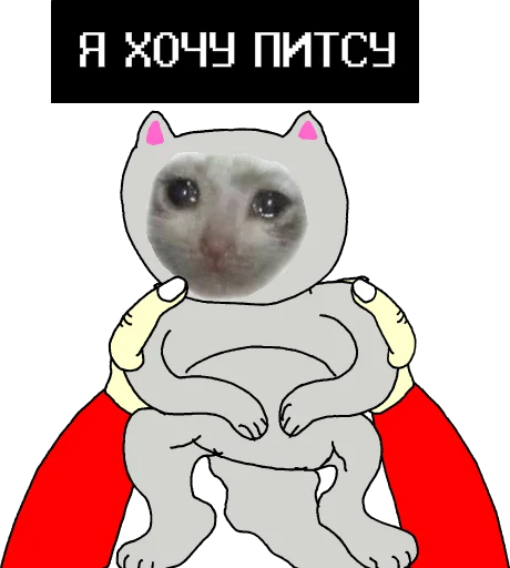 🐈 Стикер «LAVA LAMP» для Telegram