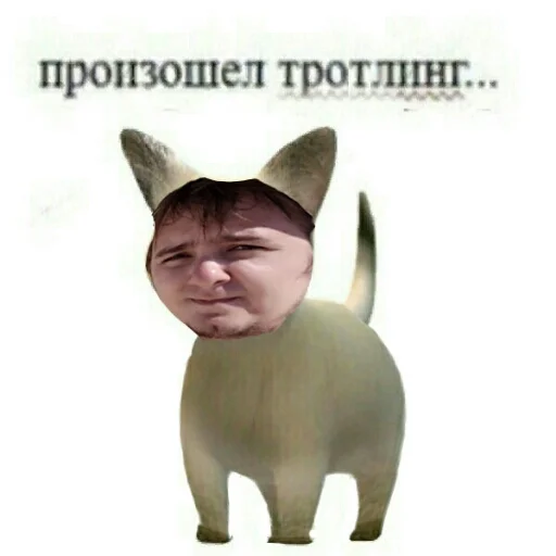 😝 Стикер «MurkMurkov» для Telegram