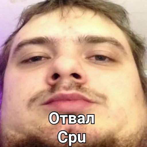 🥵 Стикер «MurkMurkov» для Telegram