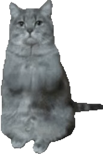 🙏 Стикер «Cats… cats everywhere!» для Telegram