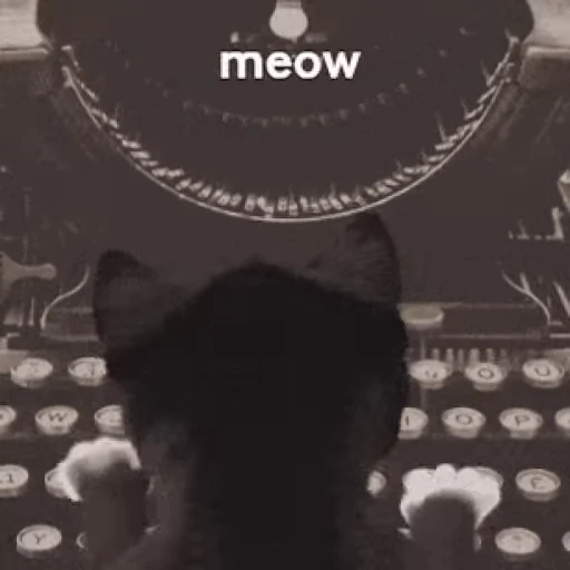 ⌨️ Стикер «Cats… cats everywhere!» для Telegram