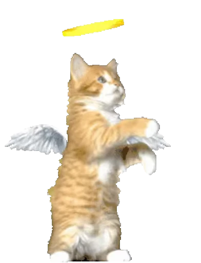 😇 Стикер «Cats… cats everywhere!» для Telegram