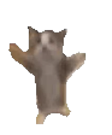 🐈 Стикер «Cats… cats everywhere!» для Telegram