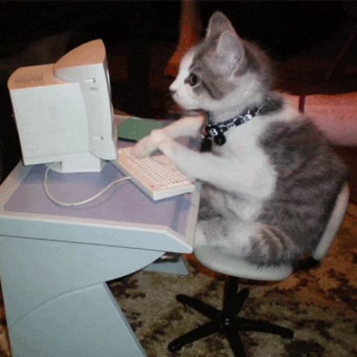 🖥 Стикер «Cats… cats everywhere!» для Telegram
