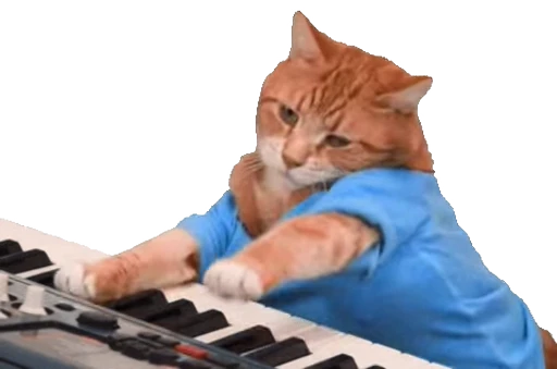 🎹 Стикер «Cats… cats everywhere!» для Telegram