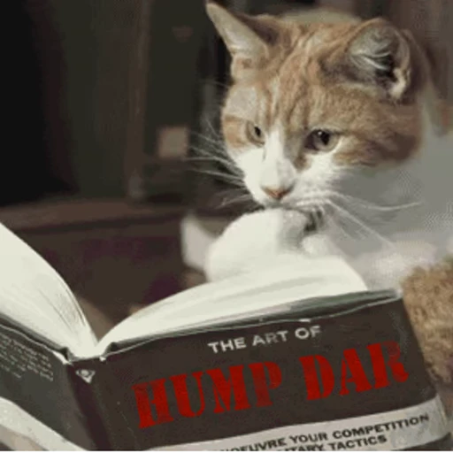 📖 Стикер «Cats… cats everywhere!» для Telegram