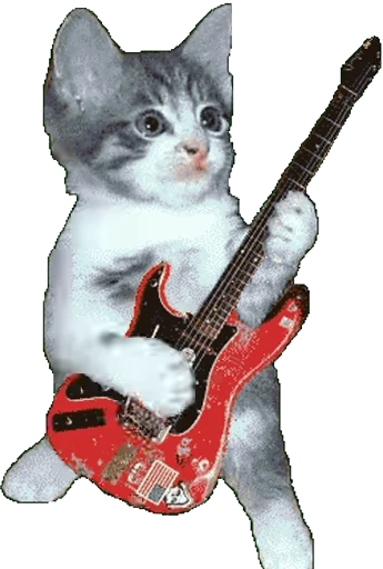 🎸 Стикер «Cats… cats everywhere!» для Telegram