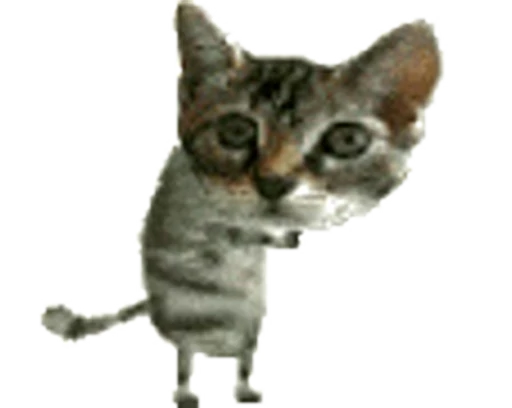 🕺 Стикер «Cats… cats everywhere!» для Telegram