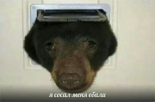 😐 Стикер «Стикеры-хуикеры» для Telegram