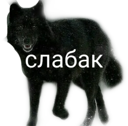 👎 Стикер «Стикеры-хуикеры» для Telegram