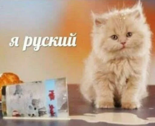 🇷🇺 Стикер «Стикеры-хуикеры» для Telegram