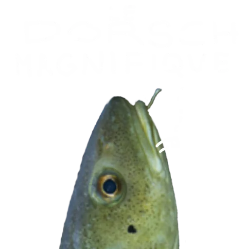 Стикерпак Le Dorsch magnifique для Telegram