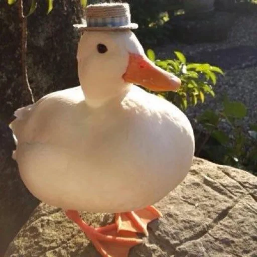 🎩 Стикер «Le Ducc» для Telegram