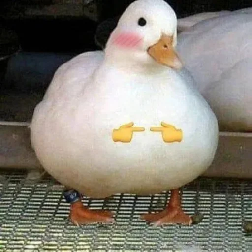 🥰 Стикер «Le Ducc» для Telegram