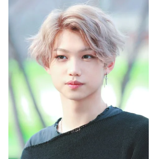 🥲 Стикер «Lee Felix...» для Telegram