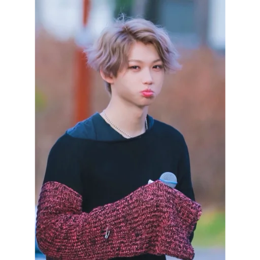 🥺 Стикер «Lee Felix...» для Telegram
