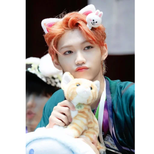 🐱 Стикер «Lee Felix...» для Telegram