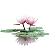 Стикер 30 ረ᥆ꫂ᥆ઽ