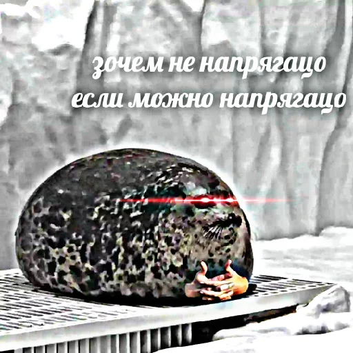 🤔 Стикер «НапряжЭние» для Telegram