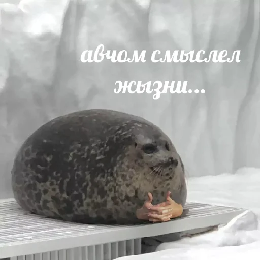 🤔 Стикер «НапряжЭние» для Telegram