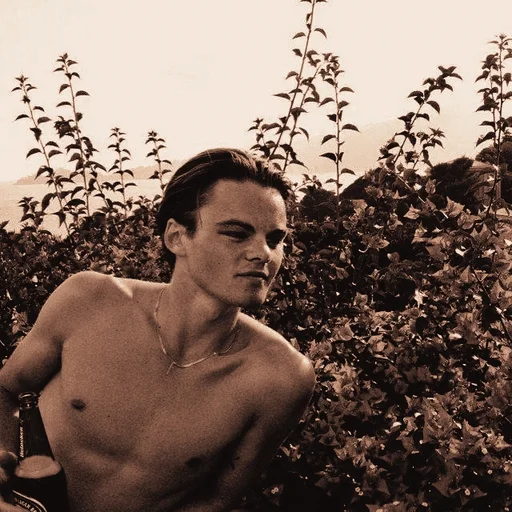 🌻 Стикер «𝙻𝚎𝚘𝚗𝚊𝚛𝚍𝚘 𝙳𝚒𝙲𝚊𝚙𝚛𝚒𝚘🌻» для Telegram