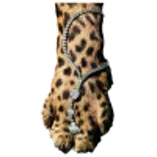 🤩 Эмодзи «leopard» для Telegram