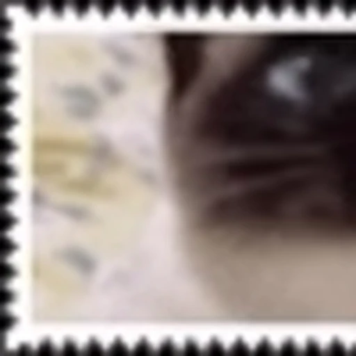 😳 Эмодзи «Stamp» для Telegram