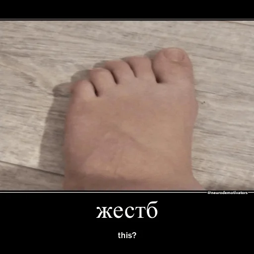 🦶 Стикер «2 Леры и 1 Таня» для Telegram